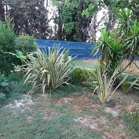 Mas Bed & Breakfast Beaucaire (Gard)