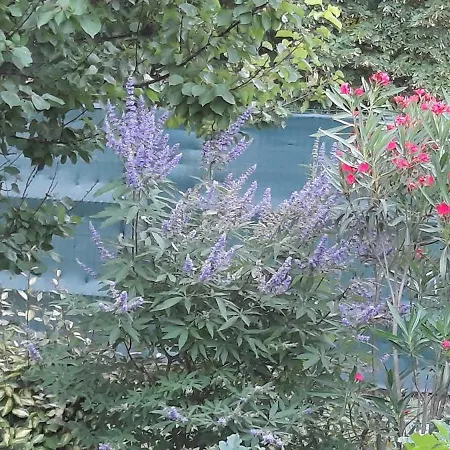 Bed & Breakfast Mas Beaucaire (Gard)